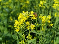 -长春公园(普阳街道)