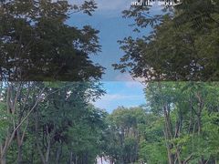 -上海怡沁园度假酒店