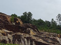 -广州白江湖森林公园