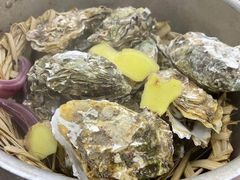 -蚝山·喷汽火山生蚝(前福路店)