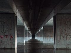 -绿堤公园