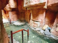 -明月山天沐温泉度假村