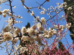 -白塘生态植物园