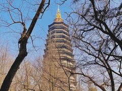-红梅公园
