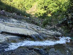 -广州白江湖森林公园