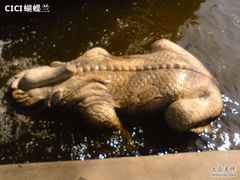 -郭守敬纪念馆