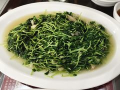 -长平肥姐白粥·海鲜打冷