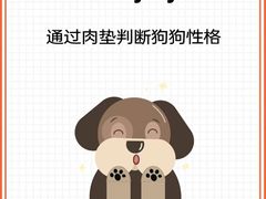 -顺强宠物诊所·狂犬免疫·夜诊·骨科(嘉定店)