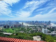 -南山植物园