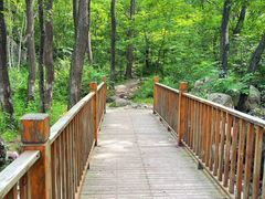 -云岫谷游猎自然风景区