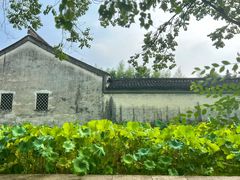 -兰亭风景区