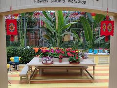 -南宫五洲植物乐园