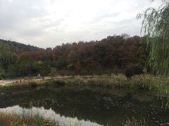 -南京市无想山景区