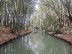 -同里国家湿地公园