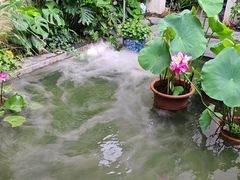 -漫笙舍Manse·咖啡·民宿