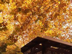 -春晖园度假酒店温泉