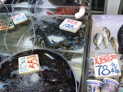 -杨屋道街市