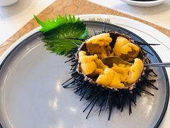海胆-天顺渔港·海景餐厅(星海广场店)