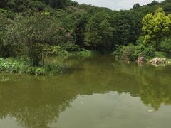 -厦门悦华酒店