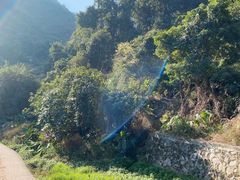 -梧桐山风景名胜区