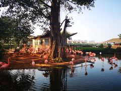 -侯臣咖啡文化村