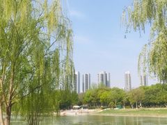 -七桥瓮公园