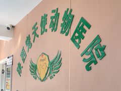 -天使宠物医院·犬猫分诊(彩虹店)