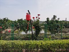 -呼吸森林·生态农庄农家乐私房菜