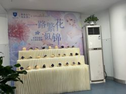 -温州伯思立医院