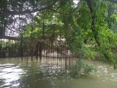 -协同和机器厂博物馆