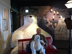 -济州岛泰迪熊博物馆