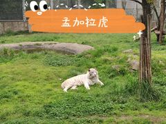 -西安秦岭野生动物园