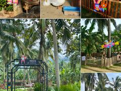 -石梅湾艾美度假酒店