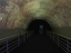 -贝壳梦幻世界