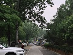 -滨河世纪广场公园