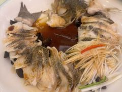 -博雅渔港·融合菜(维也纳国际大酒店)