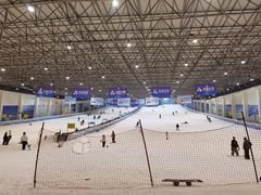 -绍兴启迪乔波冰雪世界