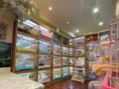 -宠物兔专门店(天丰利市场店)