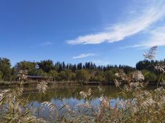 -三盛公水利风景区