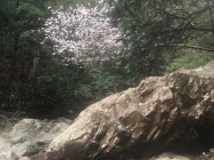 -太湖源风景区