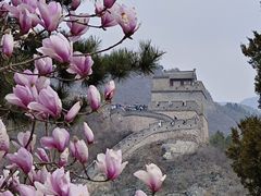 -居庸关长城