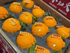 -果蔬好生活超市(乐堤港店)