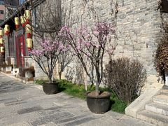 -回龙窝历史文化街区