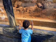 -贵州森林野生动物园