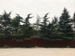 -洛阳白马寺
