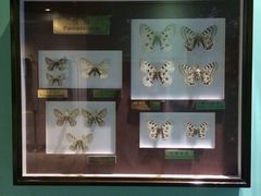 -上海昆虫博物馆