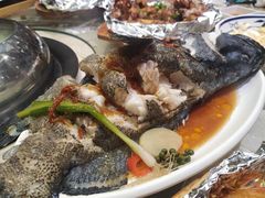 活龙胆鱼-船梆煮•蒸汽海鲜·炉火烤肉(五四广场店)