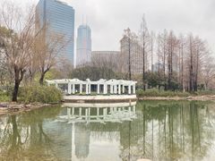 -新虹桥中心花园