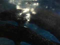 -常州海昌海洋探索馆