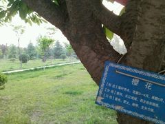 android_upload_pic-西安外国语大学-学生食堂(栾树大道店)